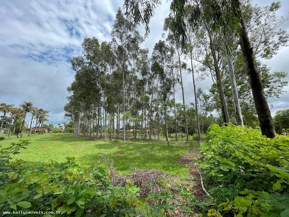 Chácara, 3000 m² - Foto 6