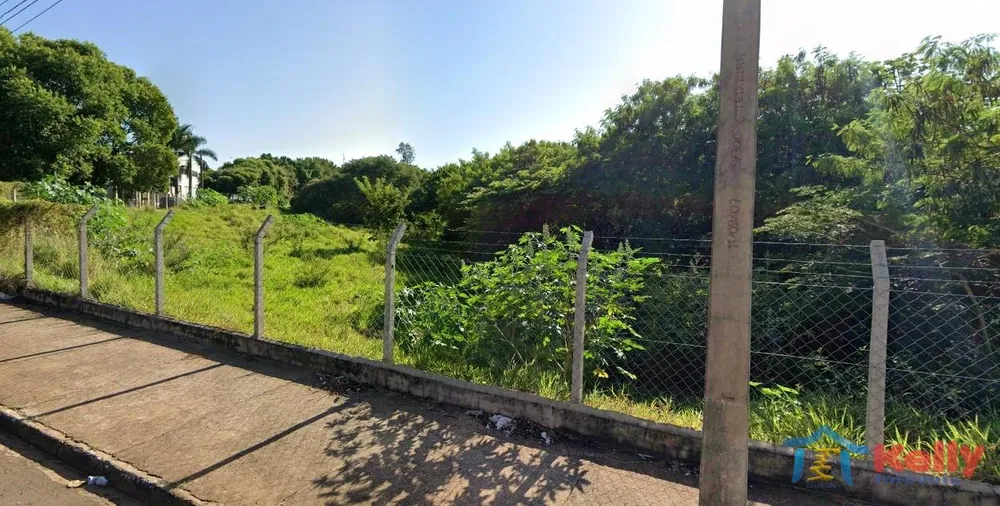 Terreno, 3 hectares - Foto 1