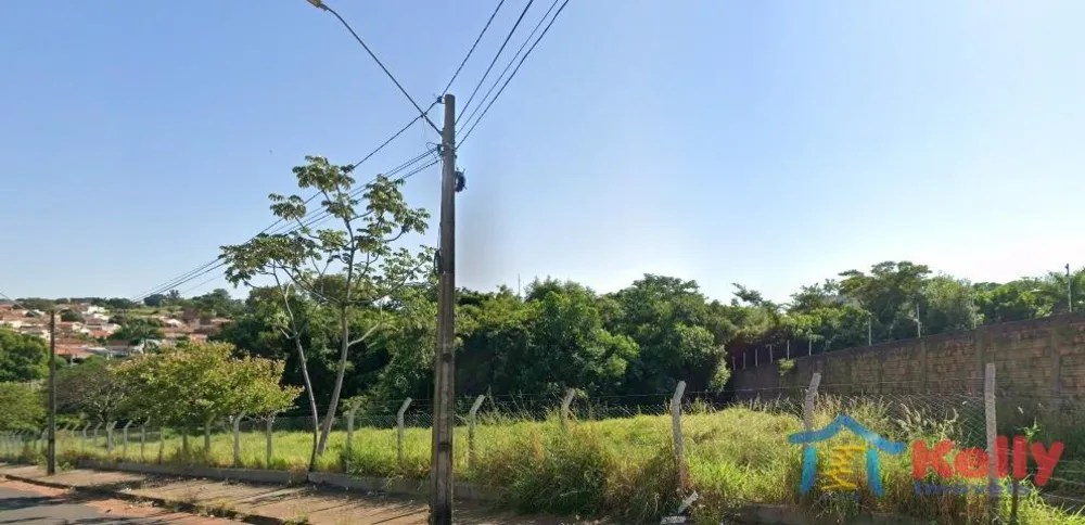 Terreno, 3 hectares - Foto 4