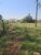 Chácara, 2 hectares - Foto 3
