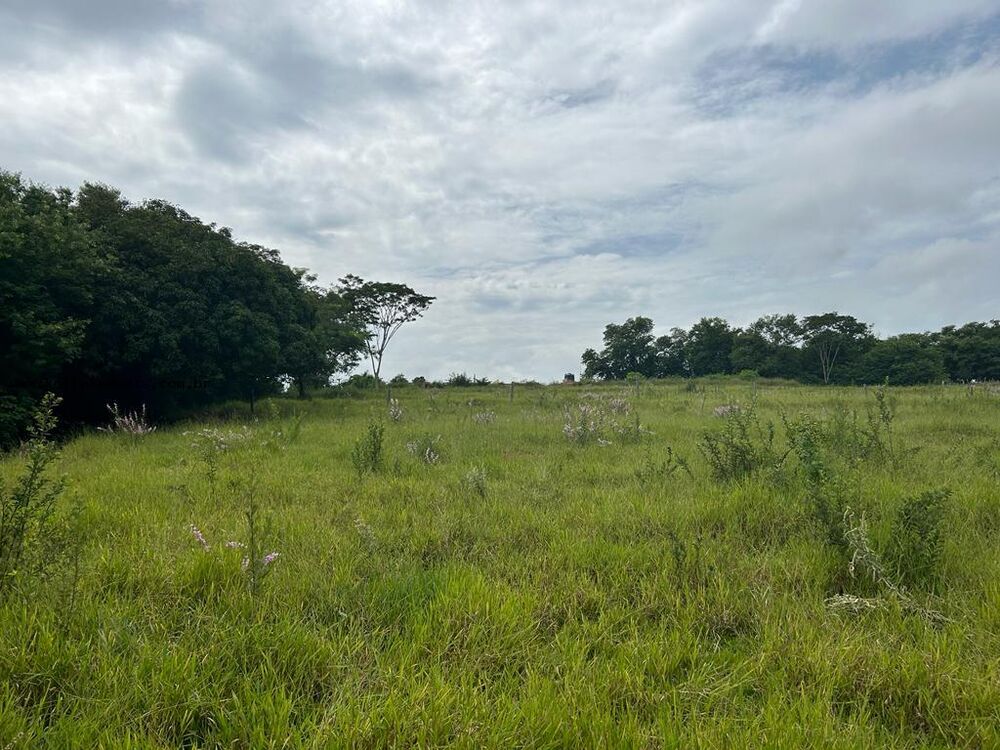 Chácara, 2 hectares - Foto 10