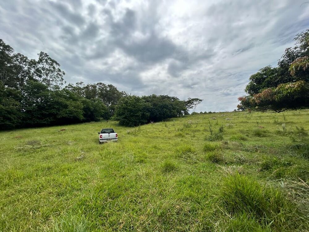 Chácara, 2 hectares - Foto 9