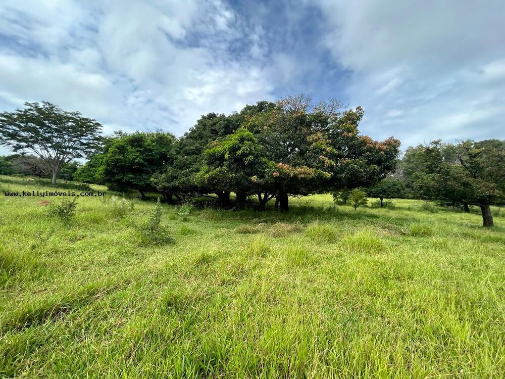 Chácara, 2 hectares - Foto 4