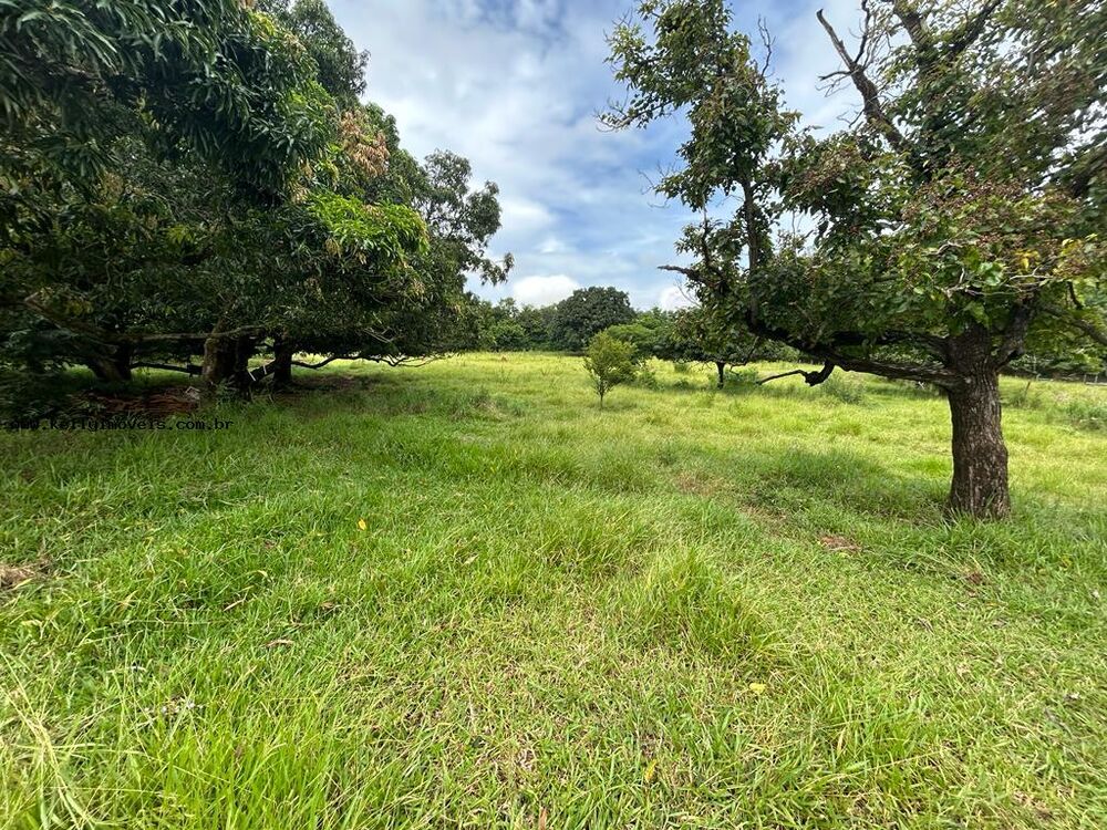 Chácara, 2 hectares - Foto 7