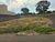 Terreno, 270 m² - Foto 2