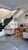 Chácara, 4 quartos, 4355 m² - Foto 1