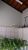Casa, 3 quartos, 150 m² - Foto 7