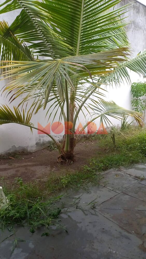 Casa para alugar com 3 quartos, 74m² - Foto 4