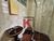 Apartamento, 3 quartos, 100 m² - Foto 4
