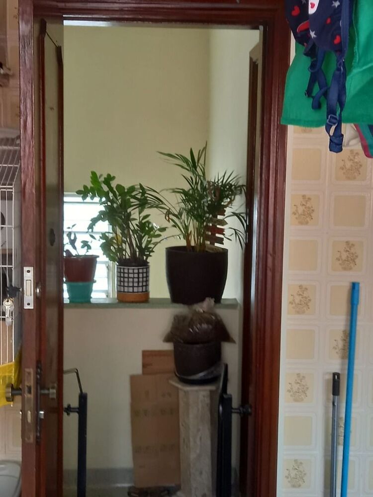 Apartamento à venda com 2 quartos, 64m² - Foto 8