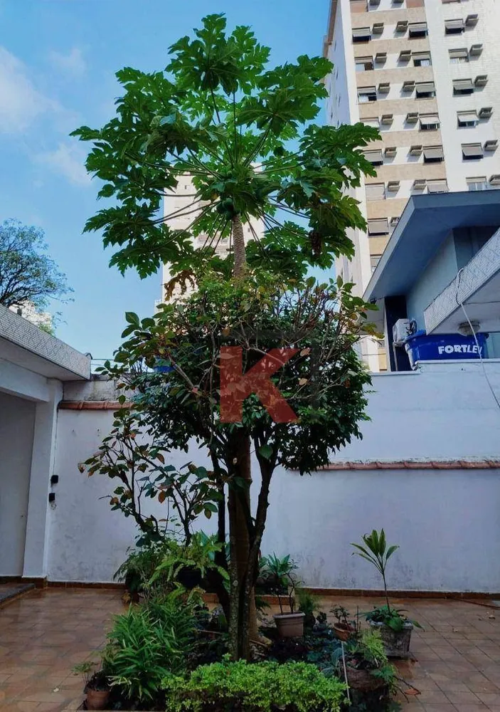 Casa, 4 quartos, 167 m² - Foto 4