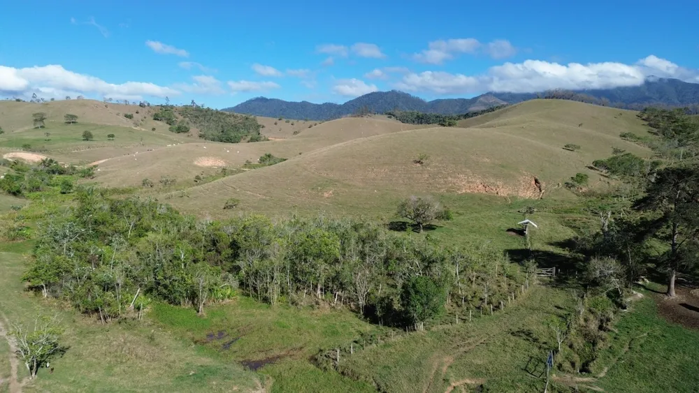 Fazenda, 75 hectares - Foto 9