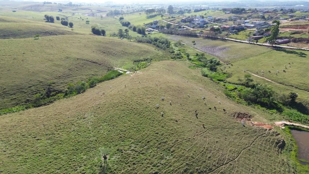 Fazenda, 75 hectares - Foto 3