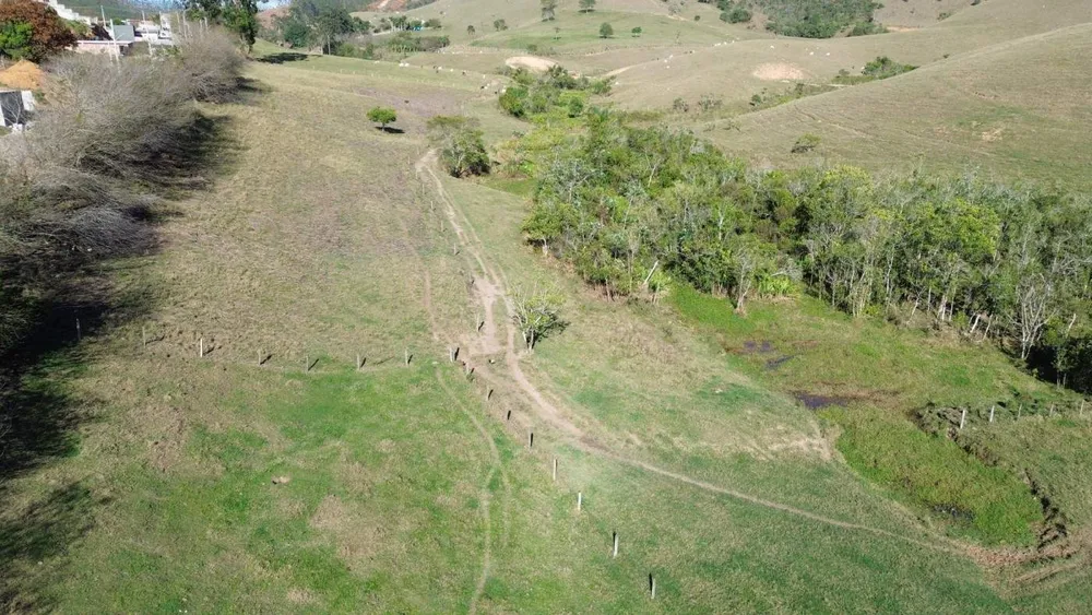 Fazenda, 75 hectares - Foto 6