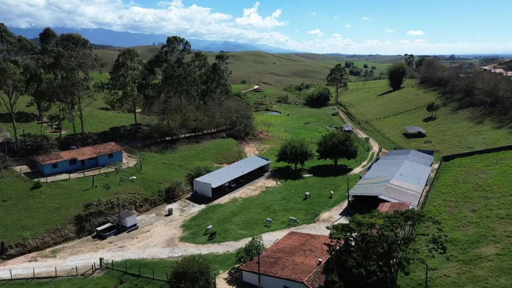 Fazenda, 75 hectares - Foto 5