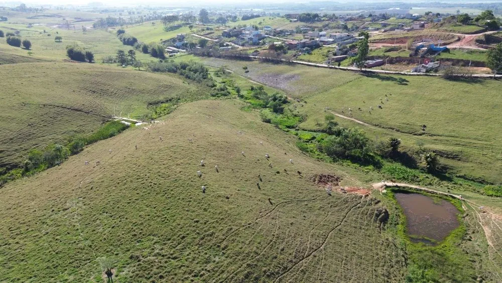 Fazenda, 75 hectares - Foto 4