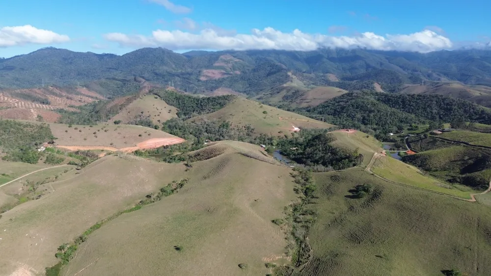 Fazenda, 75 hectares - Foto 7