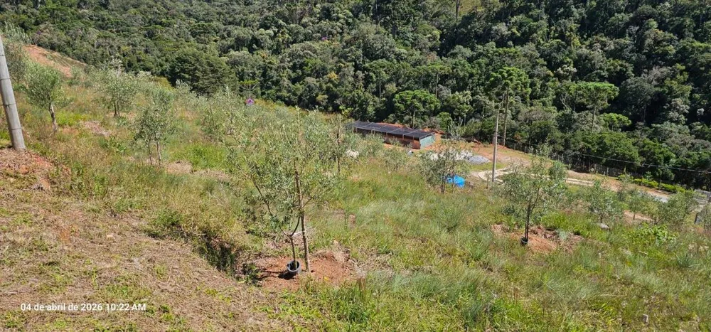 Sítio, 7 hectares - Foto 10