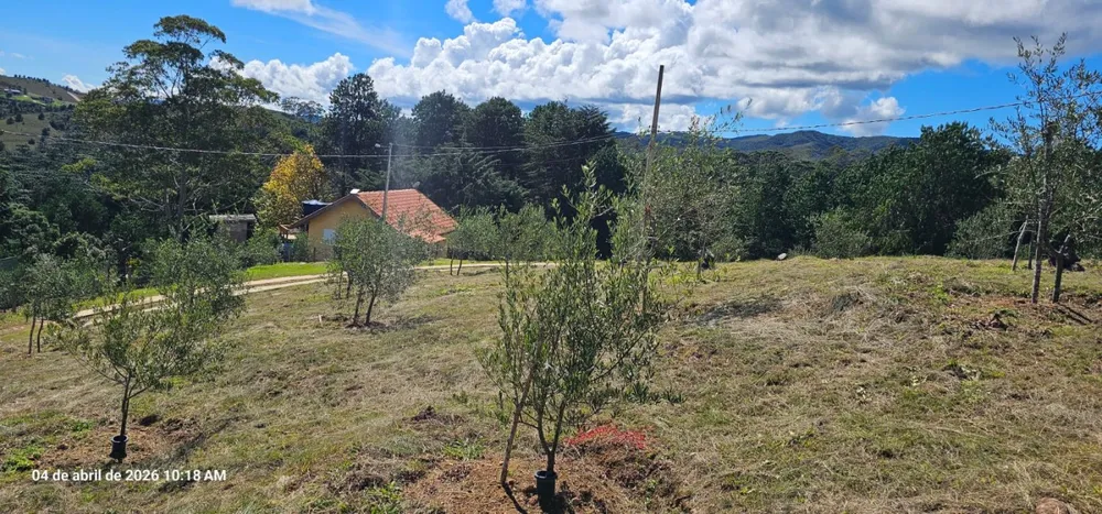 Sítio, 7 hectares - Foto 9