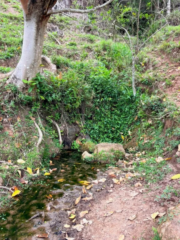 Sítio, 5 hectares - Foto 1