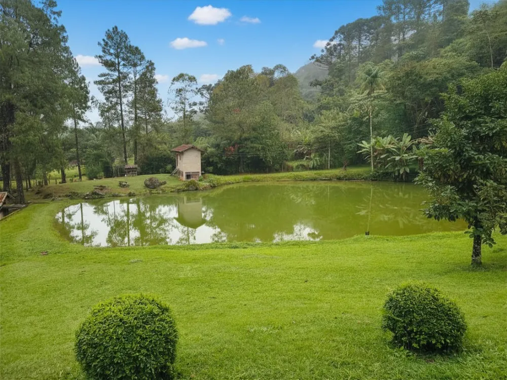 Chácara, 1 hectares - Foto 6