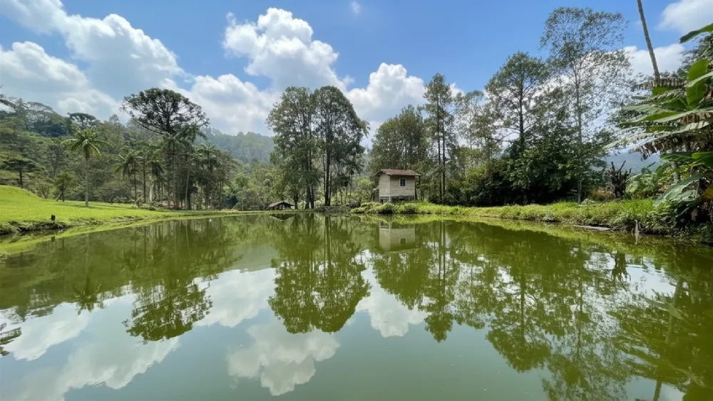 Chácara, 1 hectares - Foto 3
