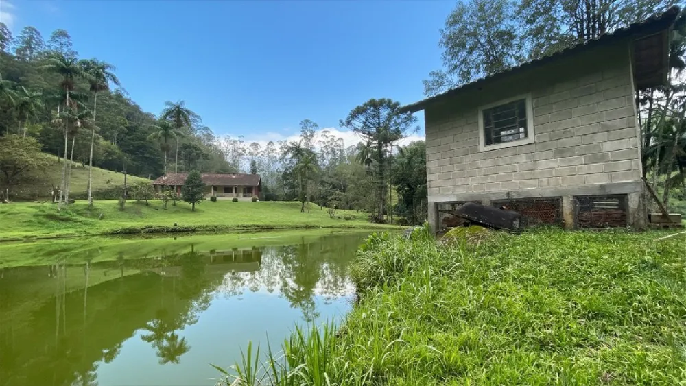 Chácara, 1 hectares - Foto 7