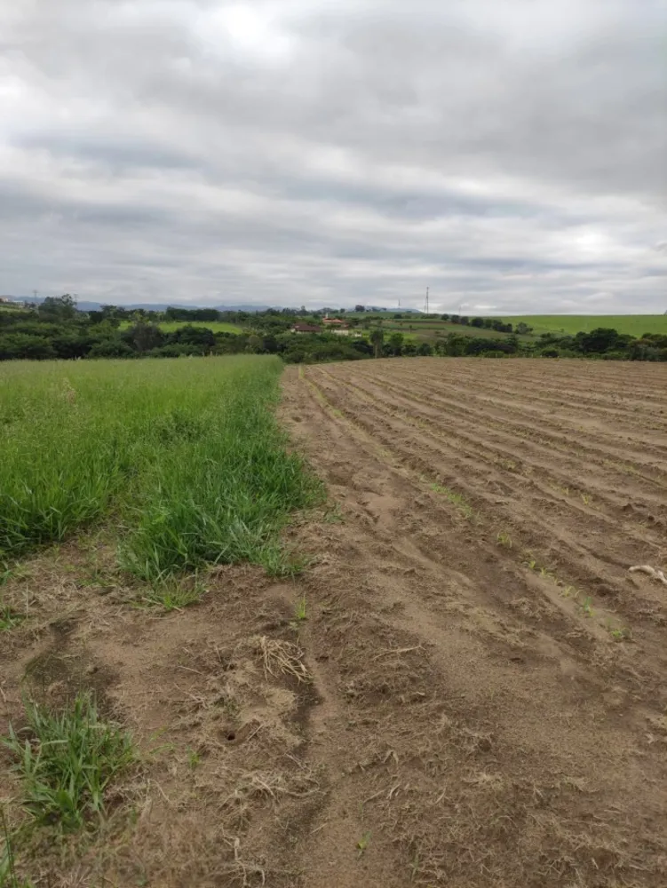 Loteamento e Condomínio, 6 hectares - Foto 3