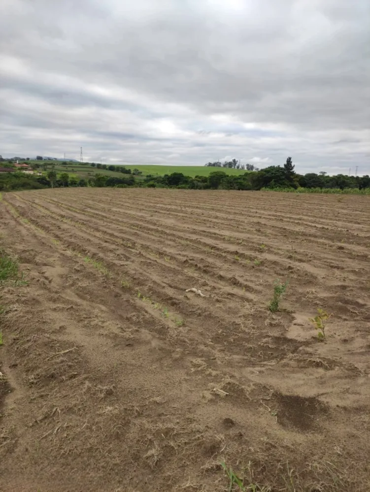 Loteamento e Condomínio, 6 hectares - Foto 2