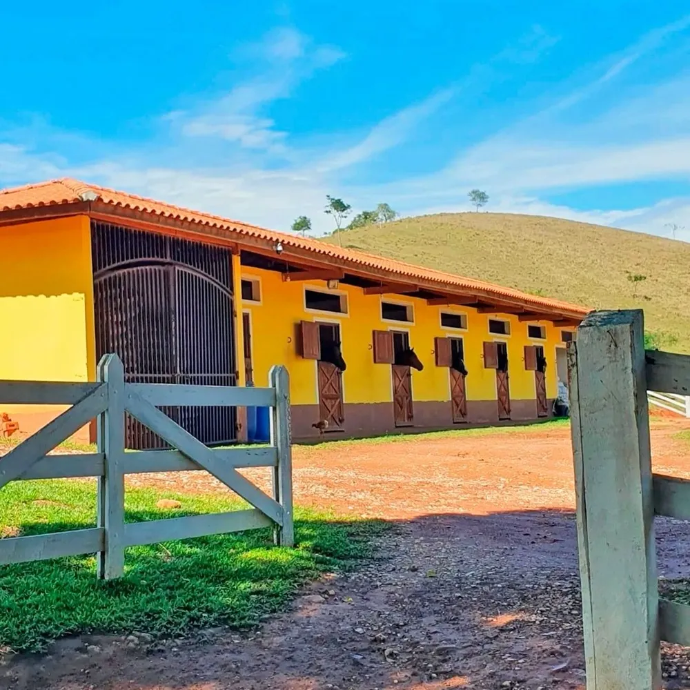 Fazenda, 25 hectares - Foto 11