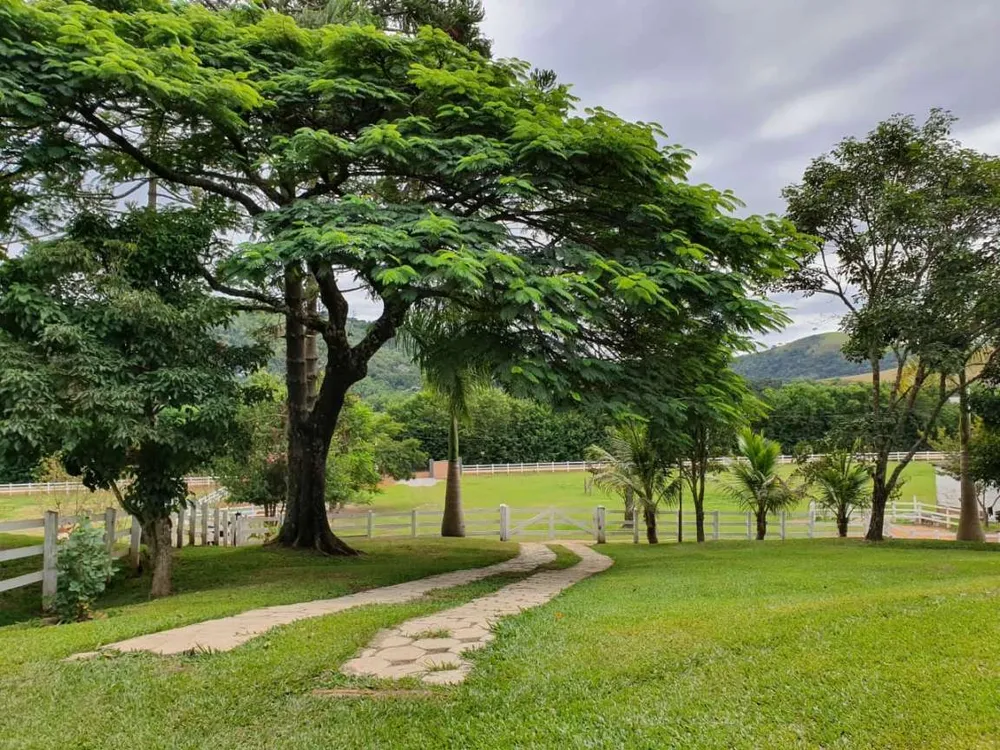 Fazenda, 25 hectares - Foto 7