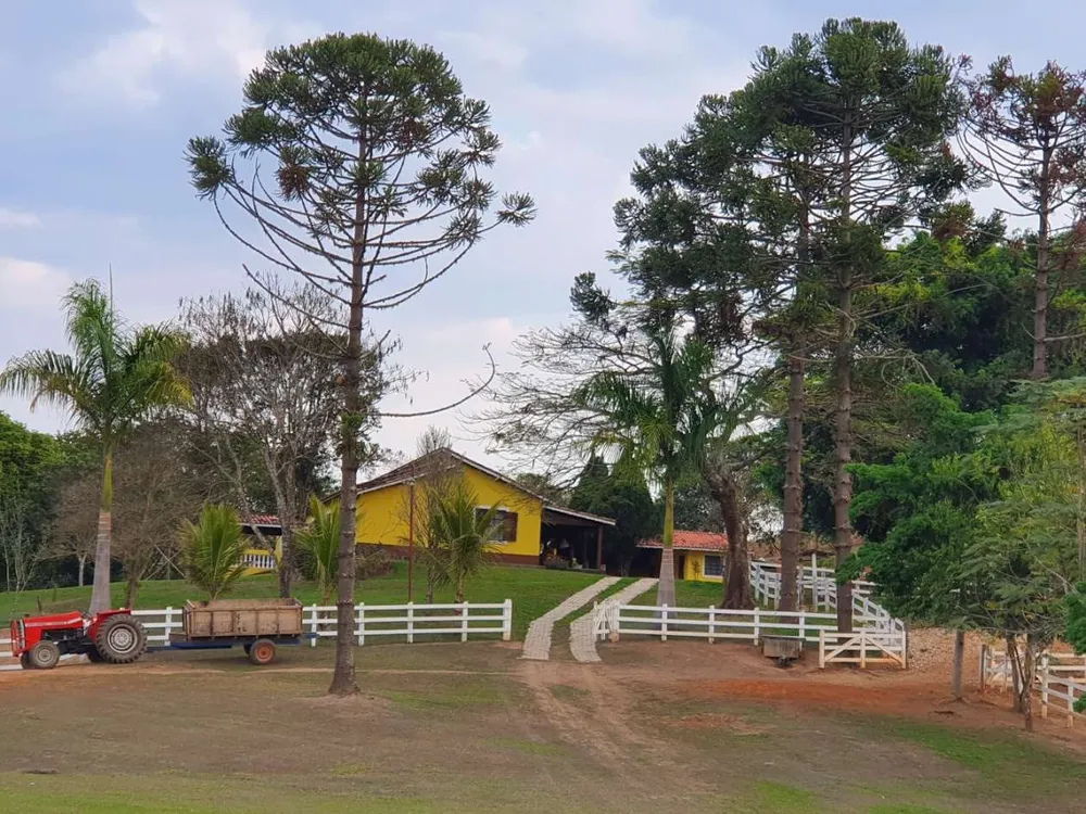 Fazenda, 25 hectares - Foto 6