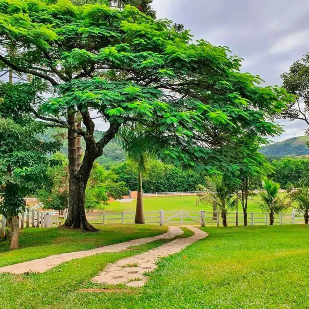 Fazenda, 25 hectares - Foto 10