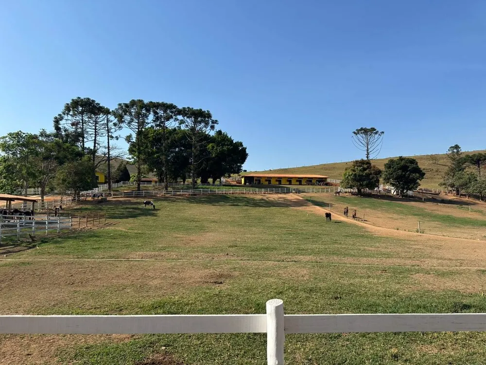 Fazenda, 25 hectares - Foto 2