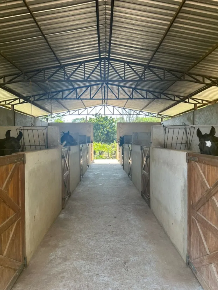 Fazenda, 25 hectares - Foto 8