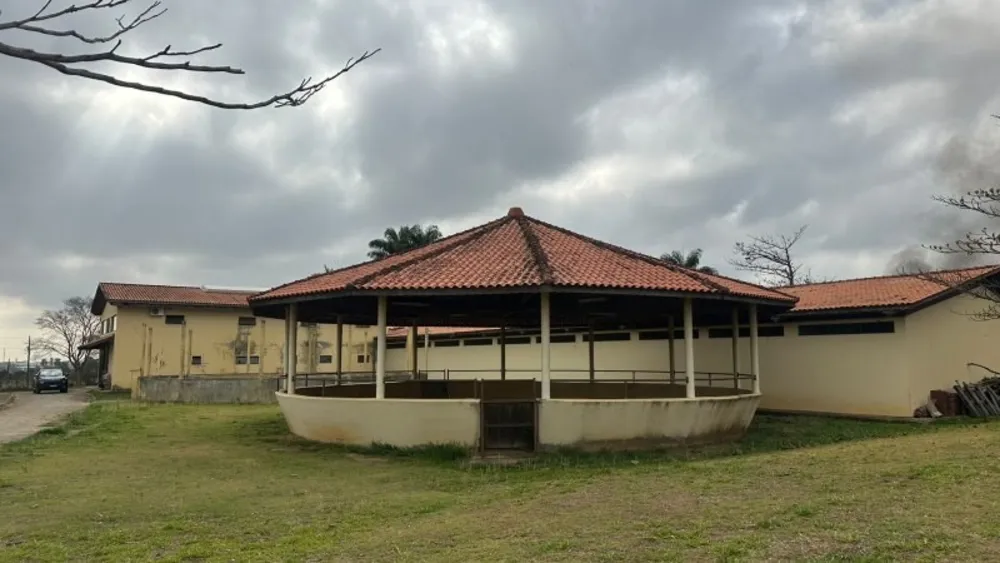 Sítio, 10 hectares - Foto 15