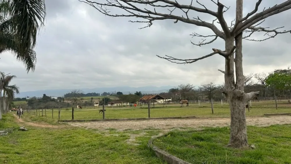 Sítio, 10 hectares - Foto 14