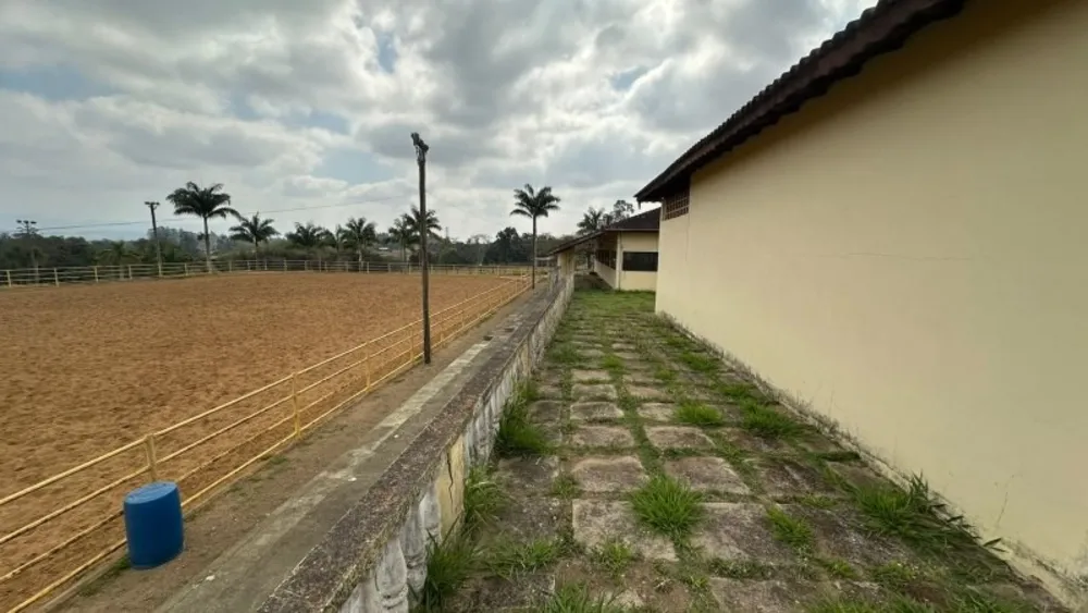 Sítio, 10 hectares - Foto 12