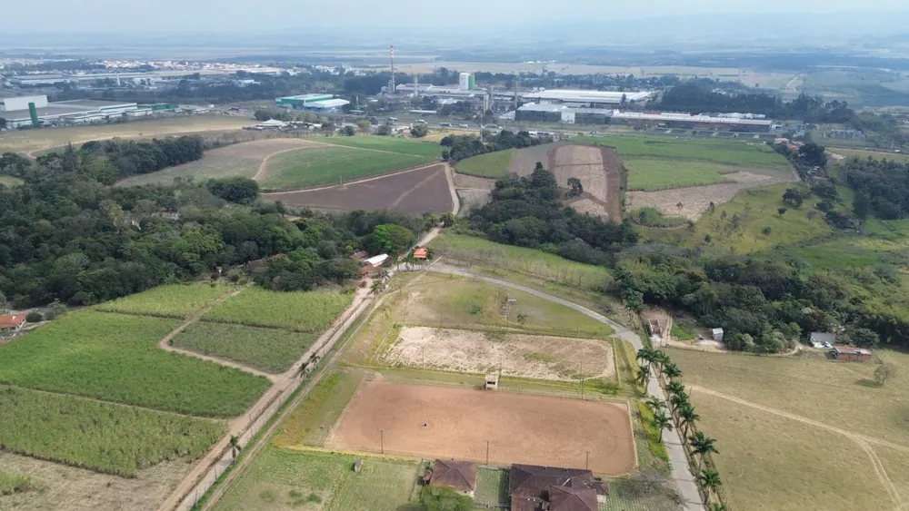 Sítio, 10 hectares - Foto 7