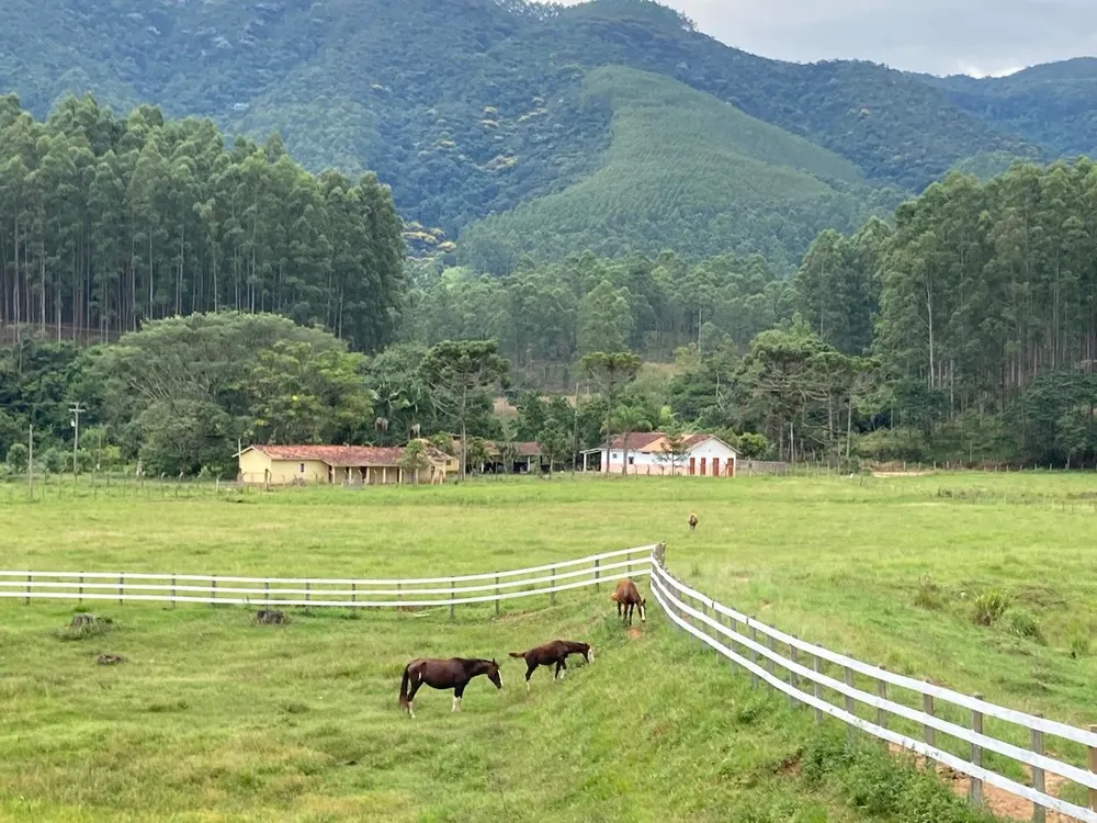 Fazenda, 43 m² - Foto 1