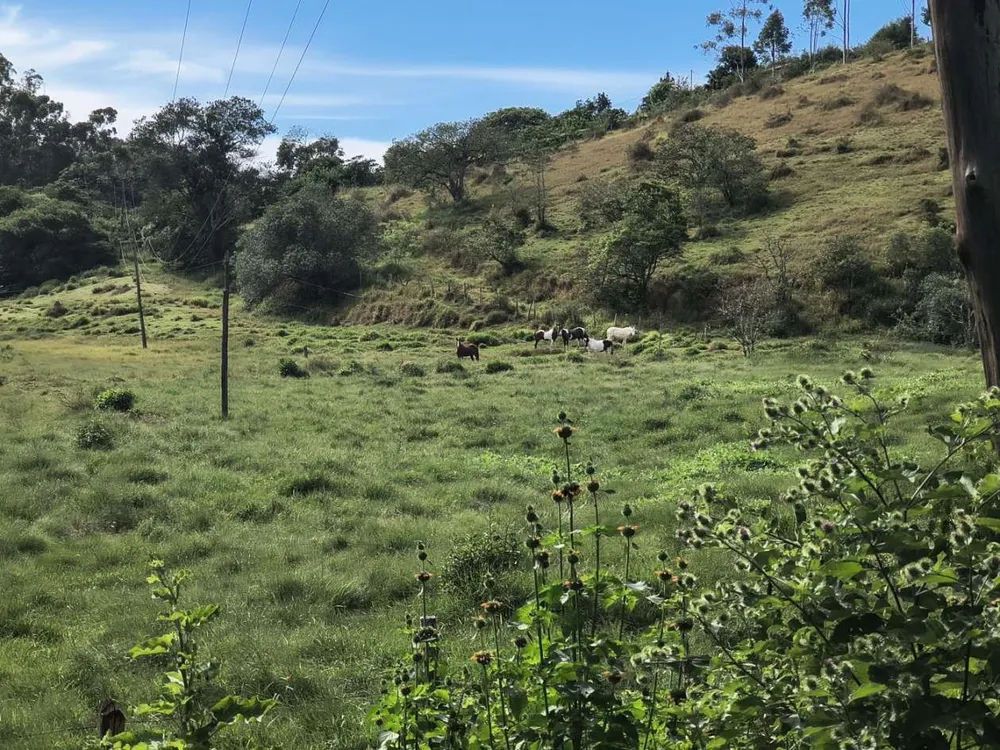 Fazenda, 42 m² - Foto 6