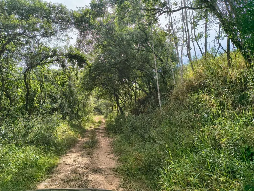 Fazenda, 42 m² - Foto 7