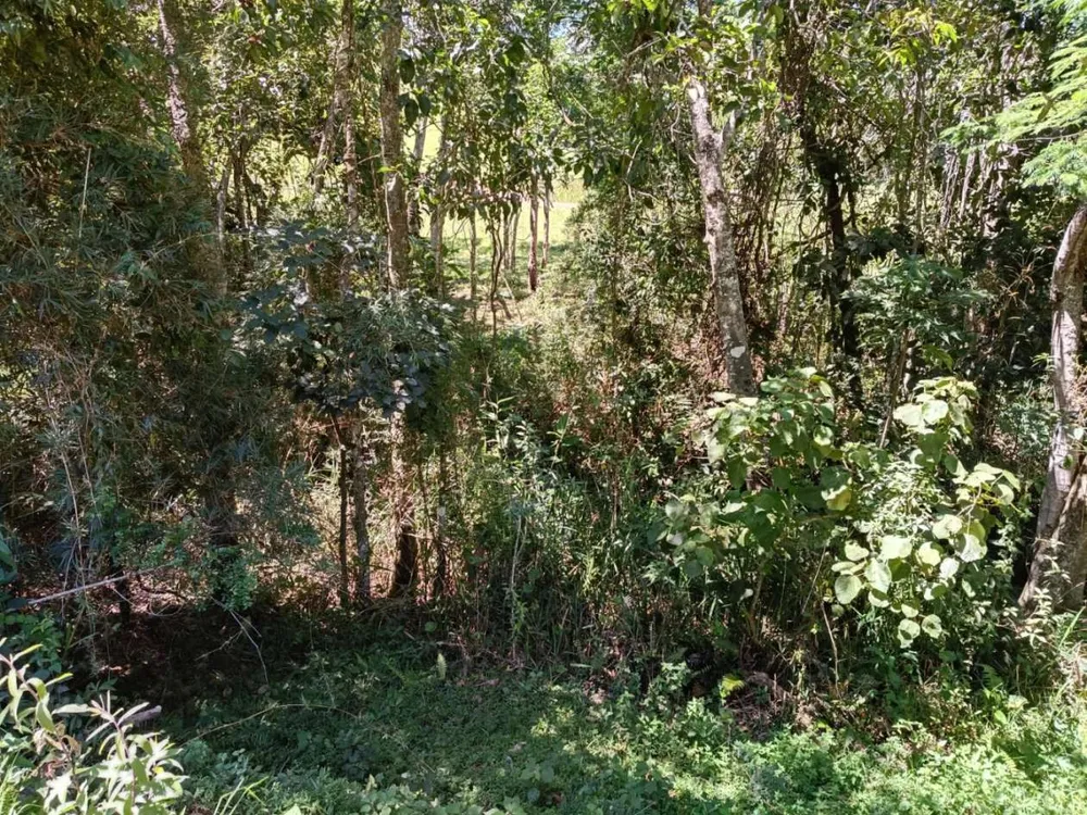 Terreno, 2 m² - Foto 8