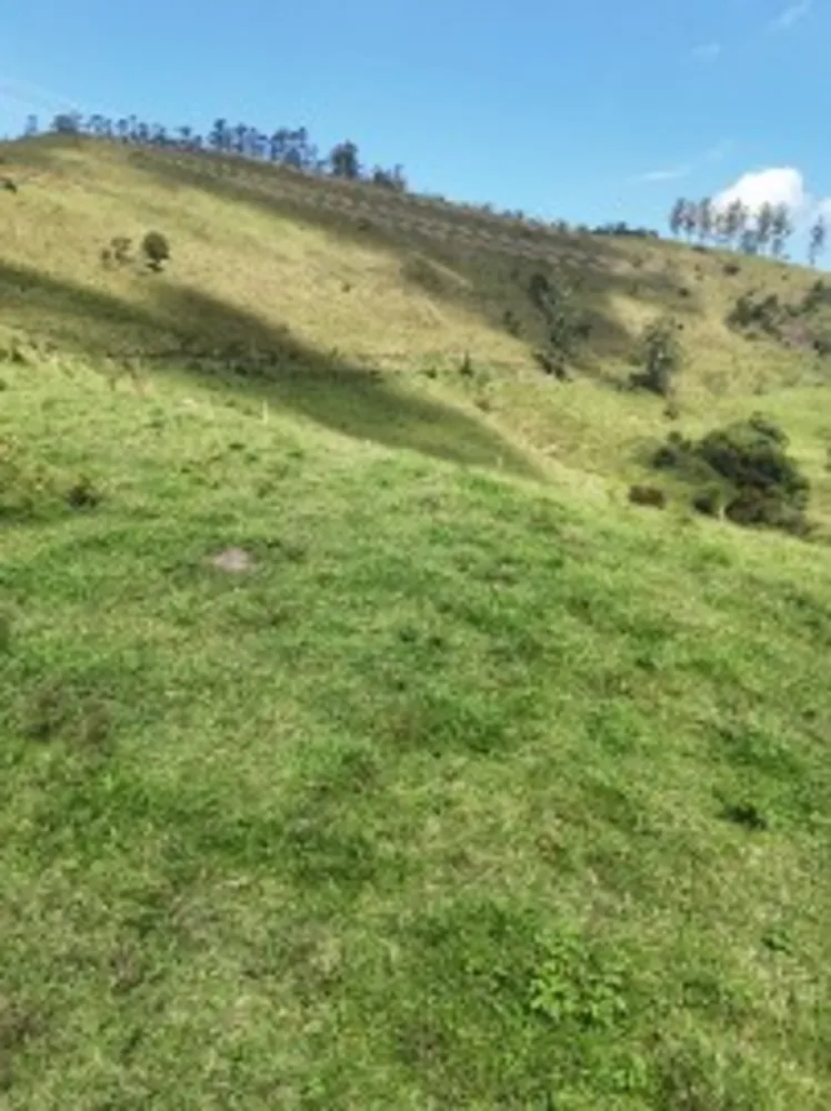 Sítio, 5 m² - Foto 5