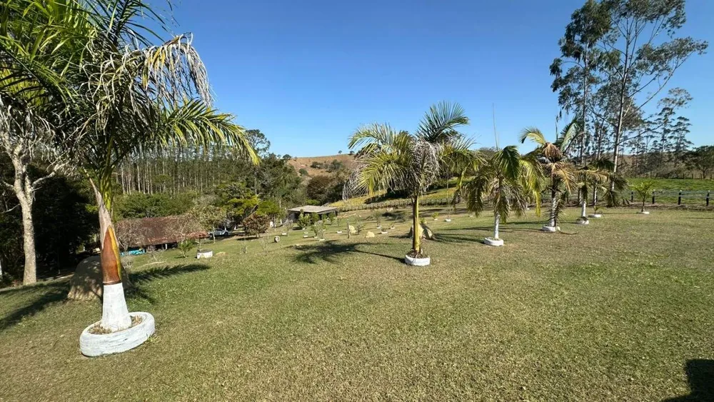 Sítio, 6 hectares - Foto 6