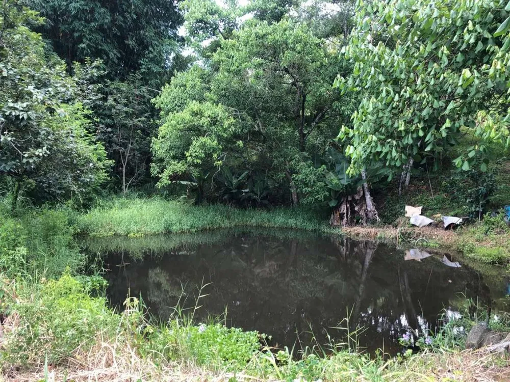 Sítio, 3 hectares - Foto 1
