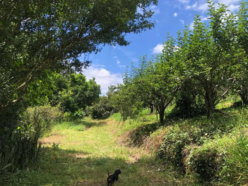 Chácara, 3 hectares - Foto 1