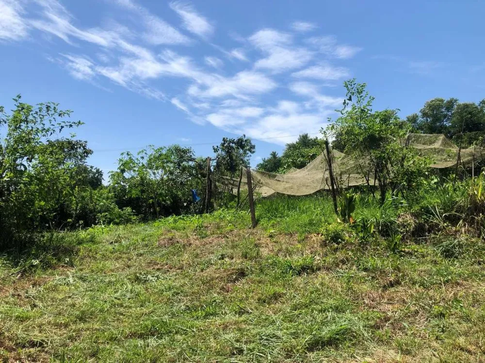 Sítio, 3 hectares - Foto 11
