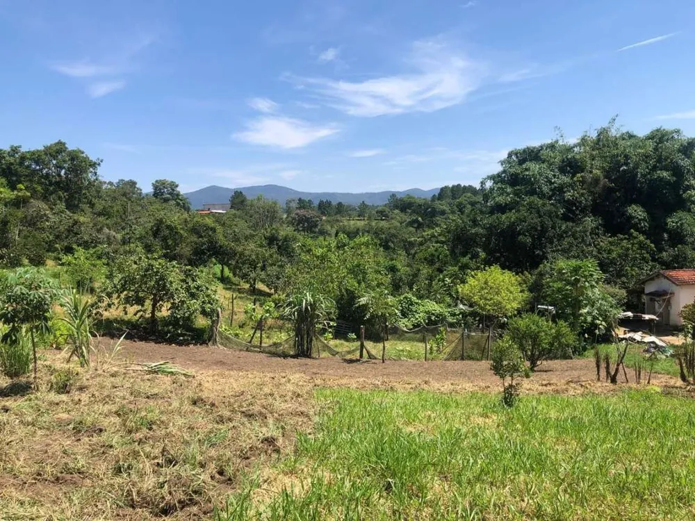 Chácara, 3 hectares - Foto 2