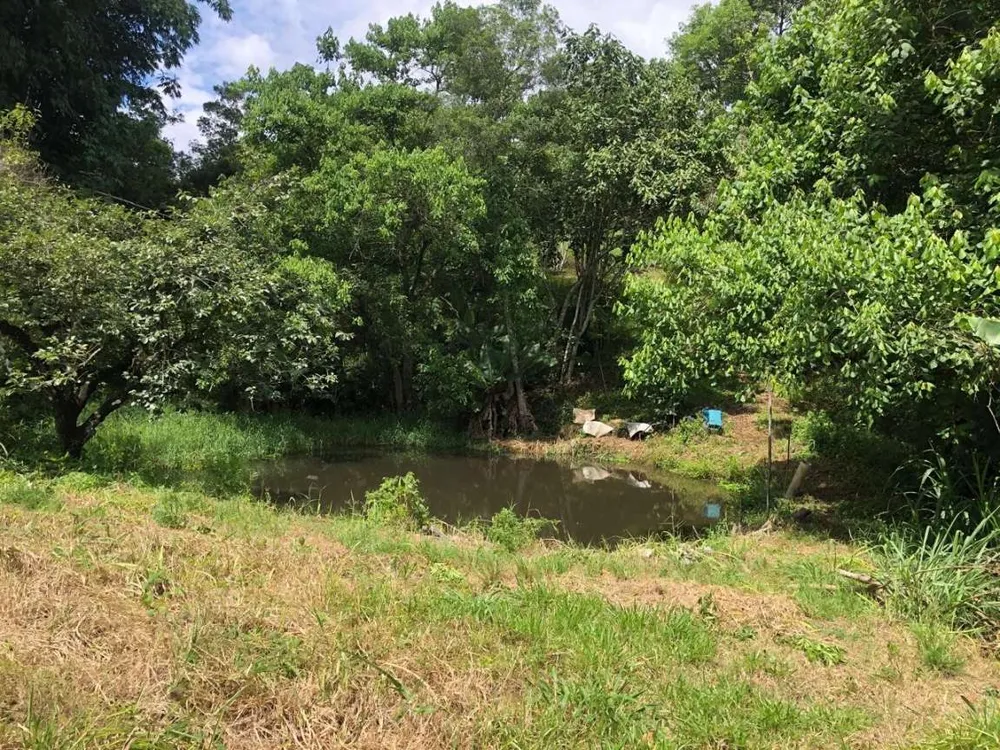 Chácara, 3 hectares - Foto 3